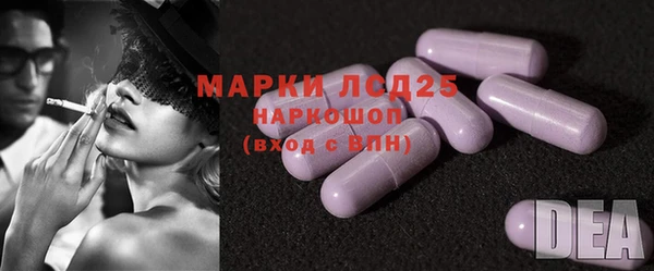 шишки Баксан
