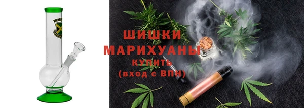 шишки Баксан
