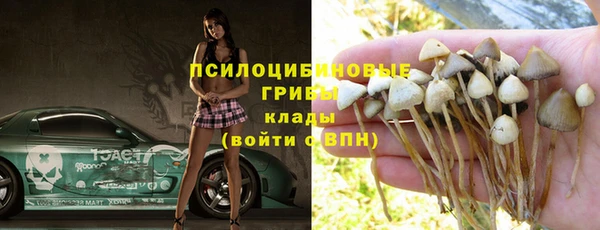 шишки Баксан