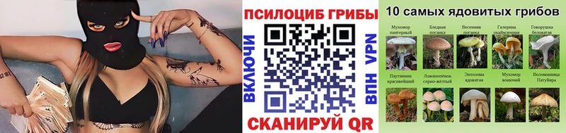 Галлюциногенные грибы GOLDEN TEACHER  мориарти какой сайт  Зеленокумск 
